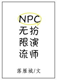 无限流扮演NPC的小说