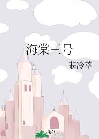 海棠三号小说免费阅读