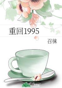 重回1995 by路小哥百度