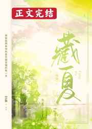 藏夏小说下册免费阅读全文